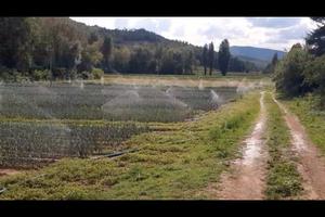 Impianto di irrigazione  con irristend