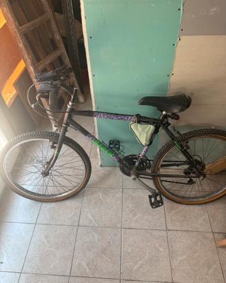 Bicicletta