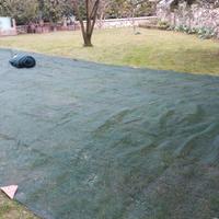 Due teli raccolta olive