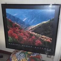 Quadro con Cornice Nera Lucida