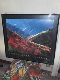 Quadro con Cornice Nera Lucida