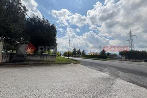 Negozio Anagni [Cod. rif 3311565ACG]