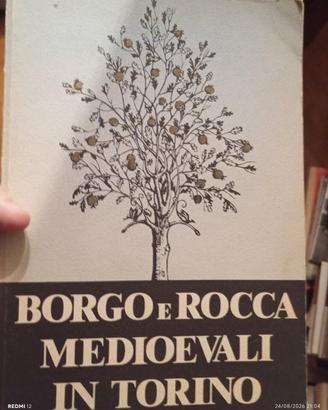 borgo e rocca medioevali in Torino con planimetria