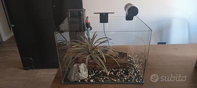 Acquario 
