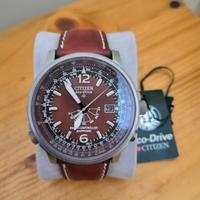 citizen radiocontrollato 