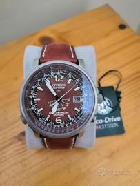 citizen radiocontrollato 