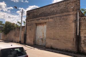 Magazzino e Terreno adiacente