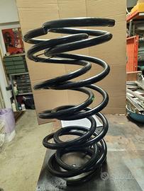 Molloni anteriori x Ducato