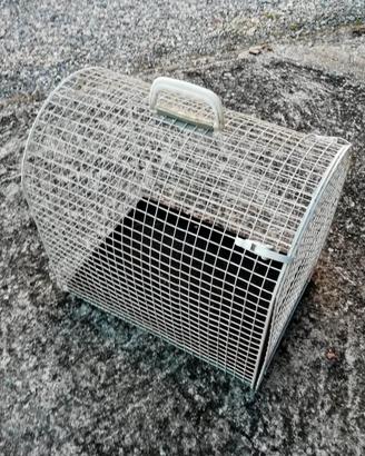 Trasportino gatti