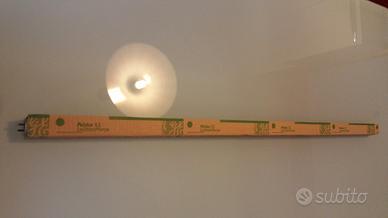 Lampada al neon da 30 watt 220 v. per acquario