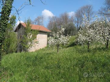 Terreno agricolo con fabricato rustico