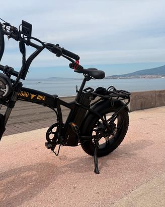 Fat bike elettrica