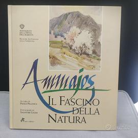 Ammajos - a cura di Paolo Pillonca - artisti vari