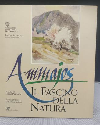 Ammajos - a cura di Paolo Pillonca - artisti vari