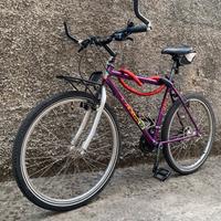Bici olmo in acciaio