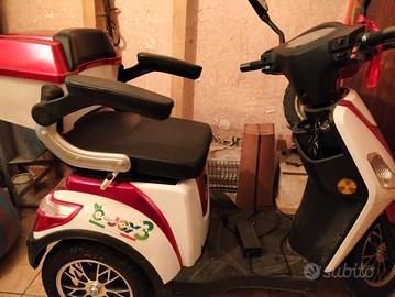 Bicicletta elettrica per anziani