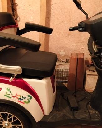 Bicicletta elettrica per anziani