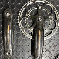 Guarnitura in carbonio