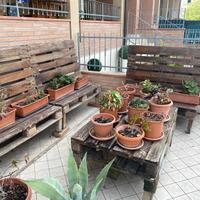 Divano pallet