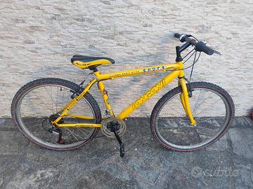 bicicletta Longoni 