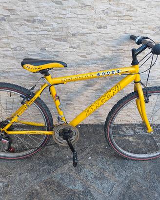 bicicletta Longoni 