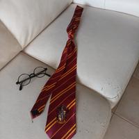 cravatta e occhiali harry potter