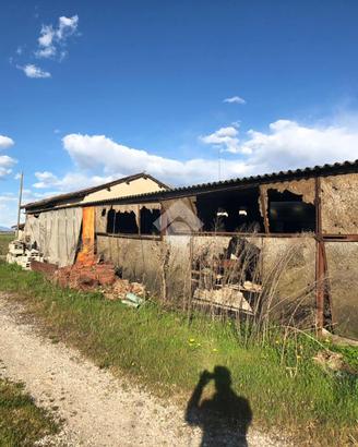 TER. AGRICOLO A CASTELBELFORTE