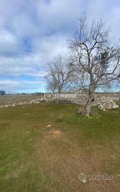 Terreno agricolo a Cursi SP212