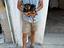 Immagine 3
