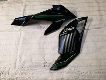 Carene Kawasaki Ninja1000 SX