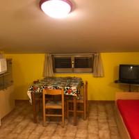 Mansarda con giardino in San Nicola Arcella