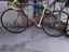 Immagine 2