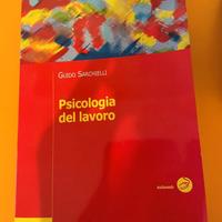 LIBRO PSICOLOGIA DEL LAVORO, NUOVO MAI USATO