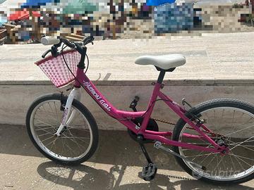 bicicletta 