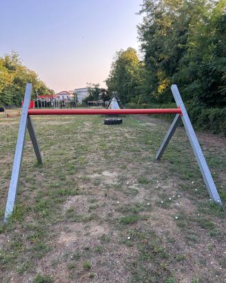 Ostacoli OCR/Spartan trave irlandese