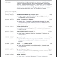 operaio , autista furgone , tutto fare
