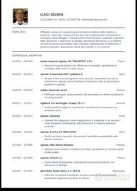 operaio , autista furgone , tutto fare