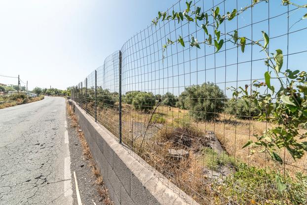 Terreno fronte agricolo strada 49-317