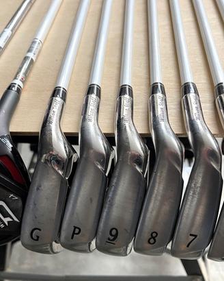 Set ferri da Golf W/S in Grafite e Acciaio.