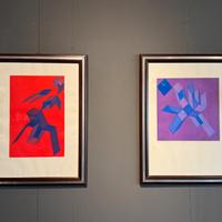 Vedra Achille Perilli