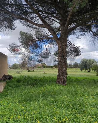 Terreno - Caltagirone
