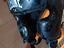 Immagine 1