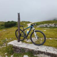  bici mtb 