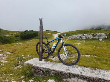  bici mtb 