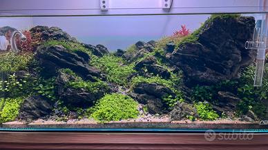 Acquario Ada - Filtro Oase + Accessori