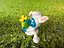 Immagine 3