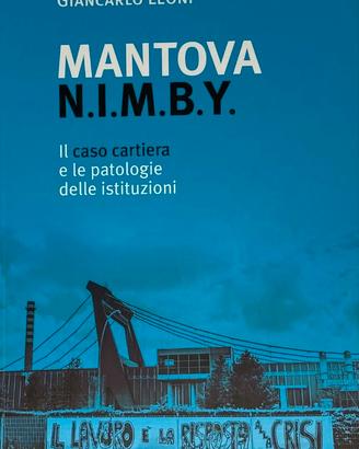 Mantova N.I.M.B.Y. Il caso cartiera e le patologie
