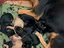 Immagine 4