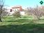 Immagine 14
