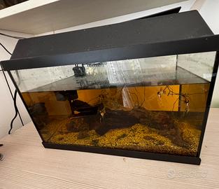 acquario/ vasca